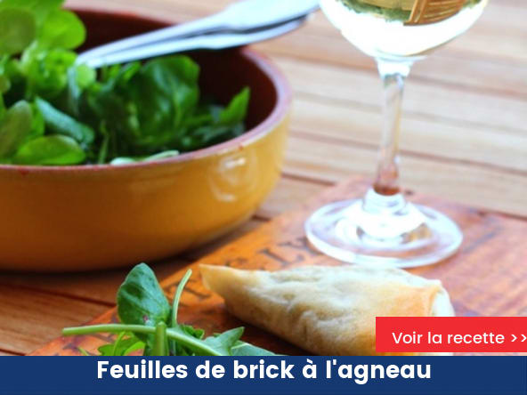 Feuilles de brick, agneau et menthe fraîche